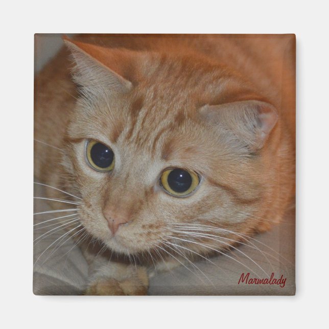 Aimant Marmalady Wide-Eyed (Devant)