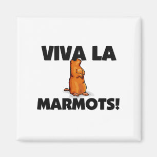 Aimant Marmottes de La de vivats