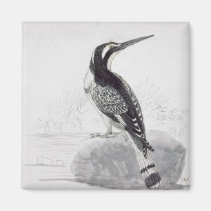 Aimant Martin-pêcheur noir et blanc