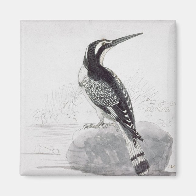 Aimant Martin-pêcheur noir et blanc (Devant)