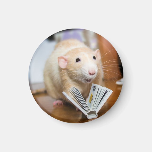 Aimant Marty Mouse aime lire l'aimant (Devant)