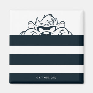 Aimant Masquage TAZ™ Dans Les Tracées