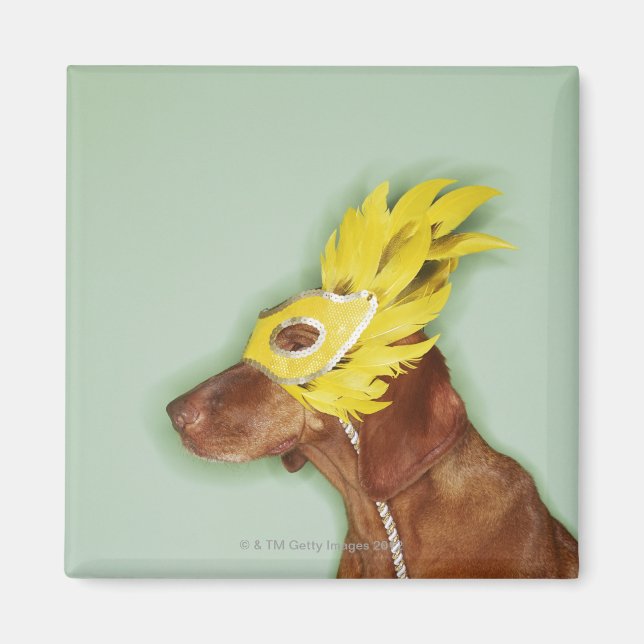 Aimant Masque de chien (Devant)