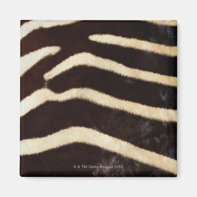 Aimant Masque Zebra (Devant)