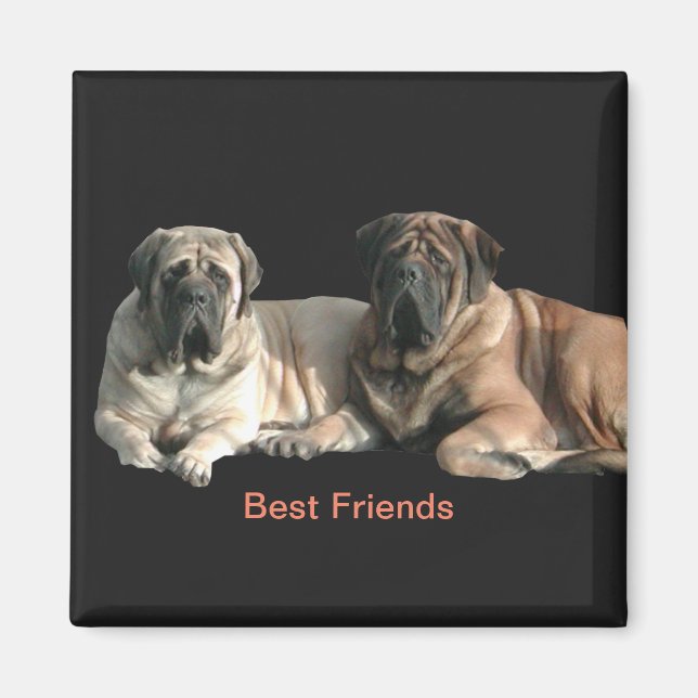 Aimant Mastiff Best Friends (Devant)