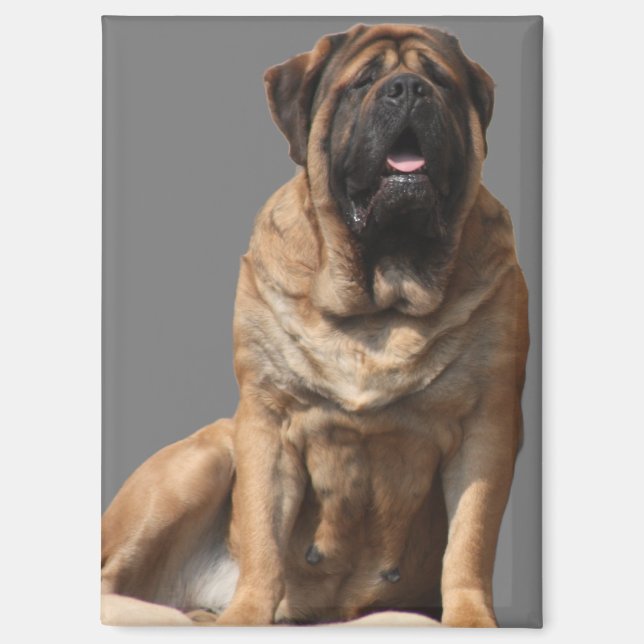 Aimant Mastiff Meilleurs amis de la fête des pères  (Recto)