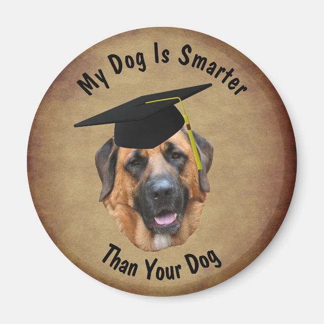 Aimant Mastiff Mon Chien Est Plus Intelligent Que Votre C (Devant)