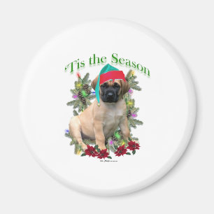 Aimant Mastiff Tis