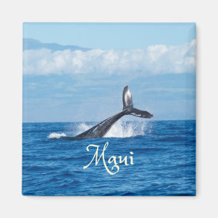 Aimant Maui Hawaii Ocean Whale Tail