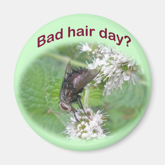 Aimant Mauvais Cheveux Jour Fly Coordonner les éléments (Devant)