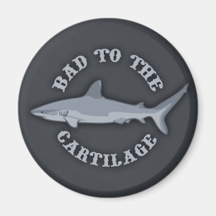 Aimant Mauvais pour le cartilage