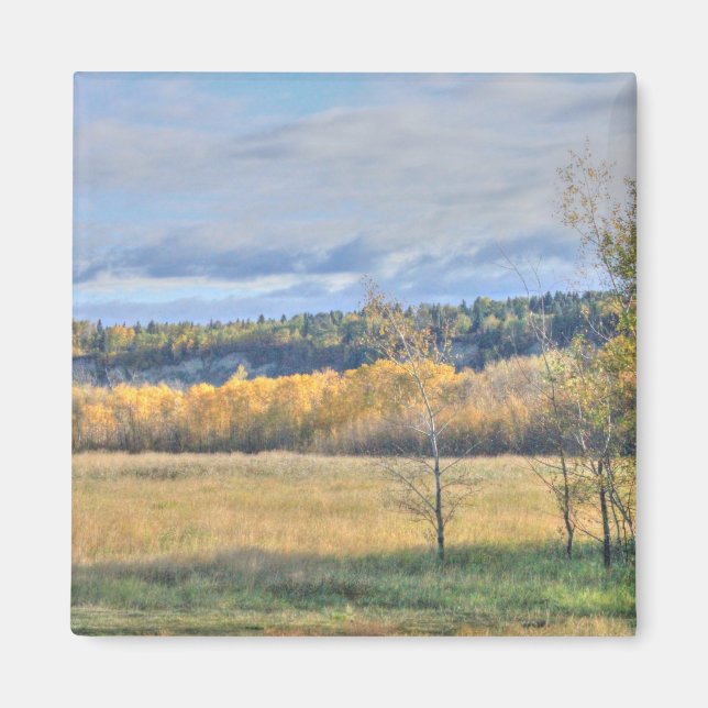 Aimant Meadow with Aspens (Devant)