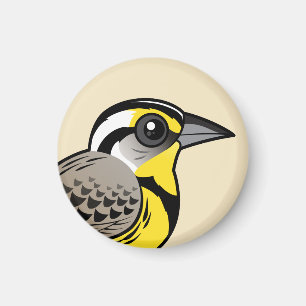 Aimant Meadowlark occidental