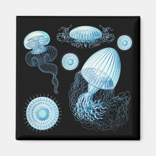 Aimant Méduse de Haeckel personnalisable