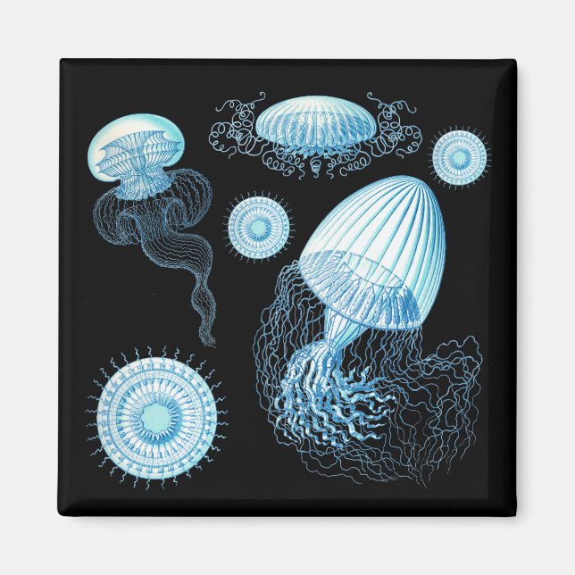 Aimant Méduse de Haeckel personnalisable (Devant)