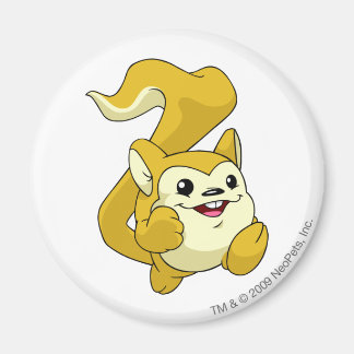 Aimant Meerca Jaune