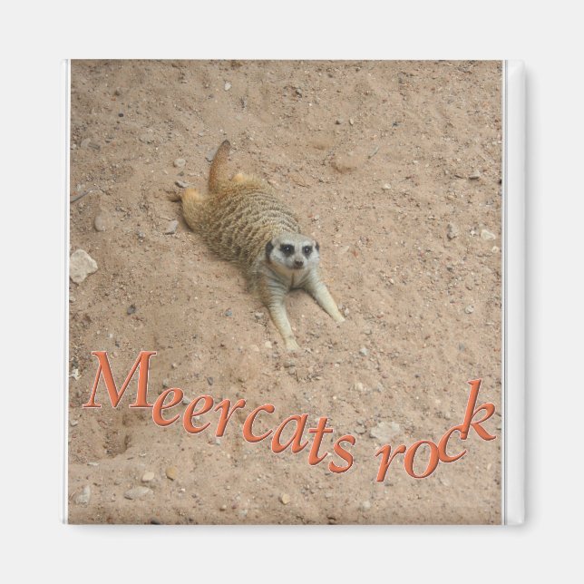 Aimant Meercats rock ! (Devant)