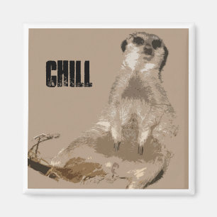 Aimant meerkat