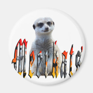 Aimant MeerkatcAnd Meerkats Picture Logo,