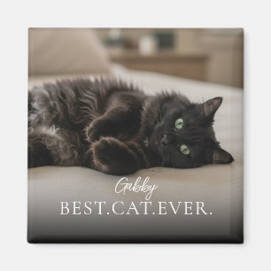 Aimant Meilleur Chat Du Monde Nom et Photo de Votre Anima