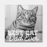 Meilleur Chat Papa Jamais Moderne Personnalisé Pho