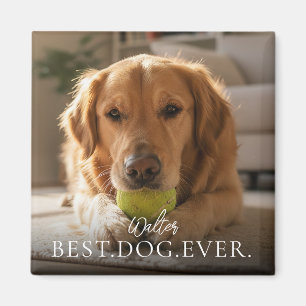 Aimant Meilleur Chien De Tous Les Temps Nom Et Photo De V