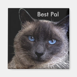 Aimant "MEILLEUR PAL" Chat Siamais