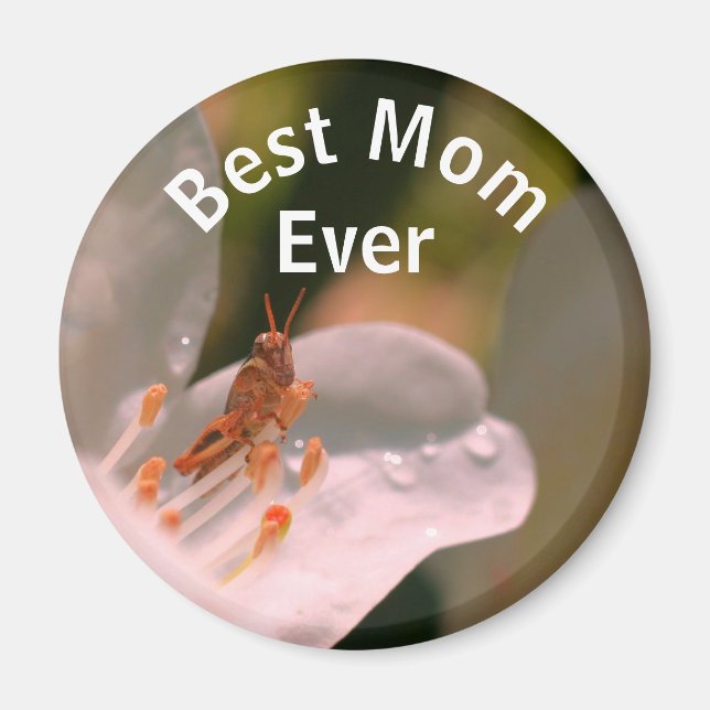 Aimant Meilleure Maman Saute-relle sur Fleur d'Azalée (Devant)