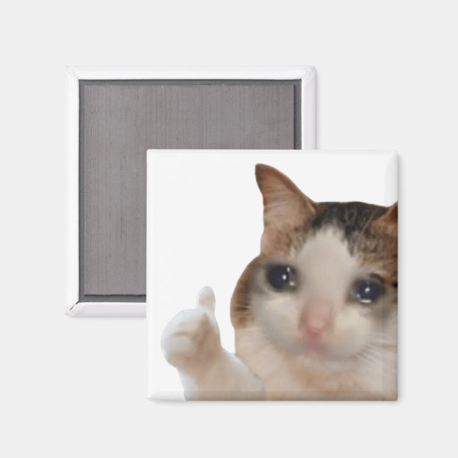 Aimant Mème Chat Pouce en l'air Ok (Recto/Verso)