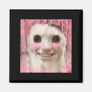Aimant Mème de chat Ahh Drôle Enfermé Weirdore Drôle Mème