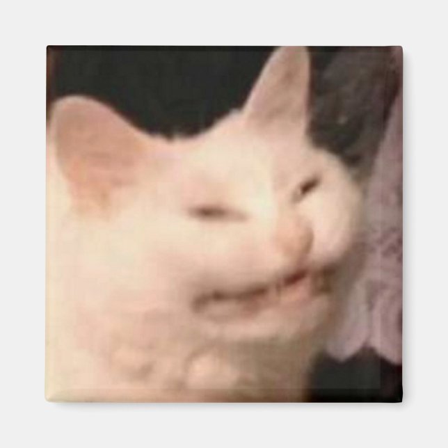 Aimant Mème de chat Cringe (Devant)