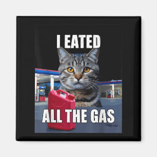 Aimant Mème de chat drôle j'ai mangé voulait tout le gaz