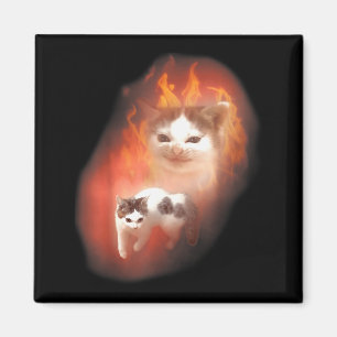 Aimant Mème de chat en colère humour drôle amateur de cha