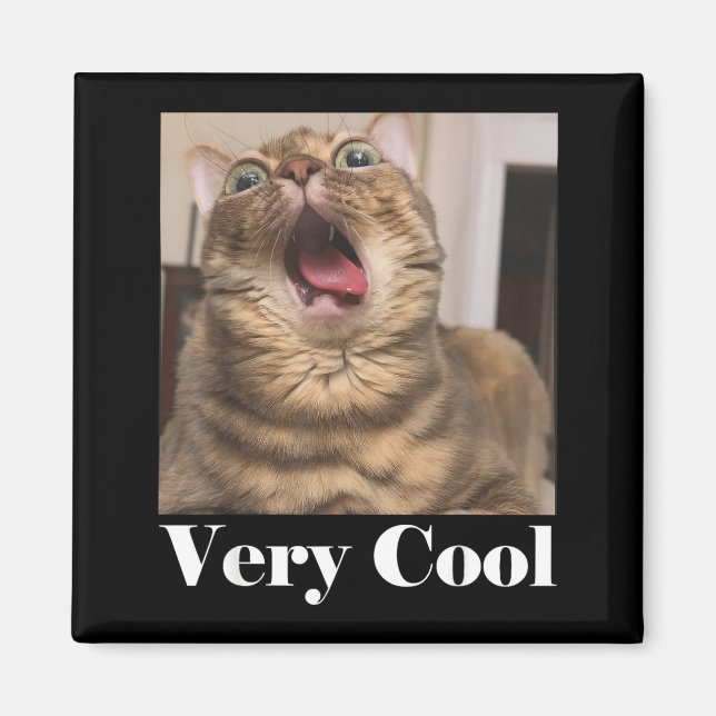 Aimant Mème de chats Graphique humour de chat idiot Drôle (Devant)
