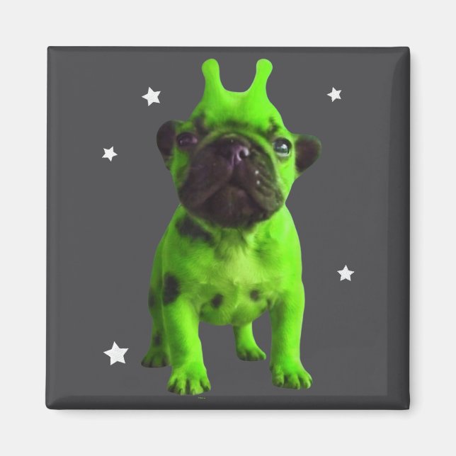 Aimant Mème de chien extraterrestre Rétro Chien idiot Esp (Devant)