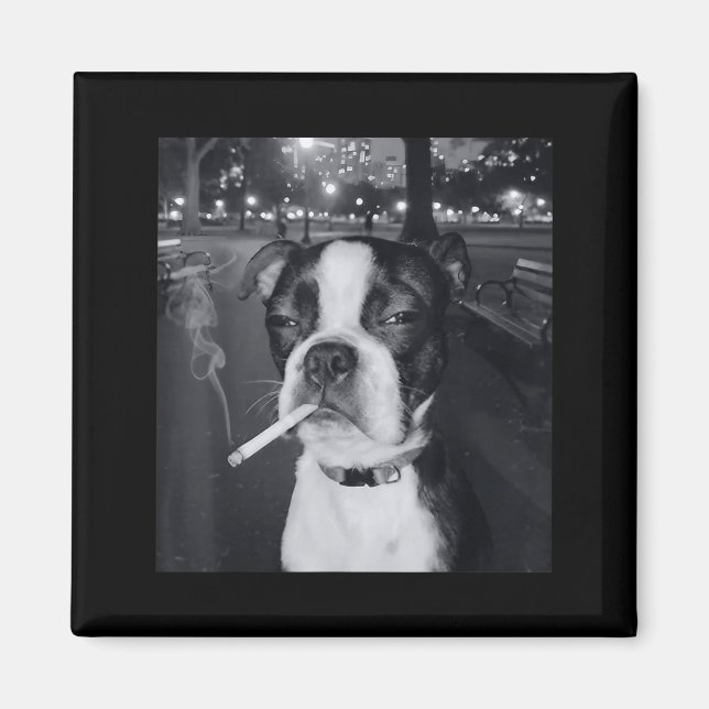 Aimant Mème de chien qui fume drôle Cigarette Mème de chi (Devant)