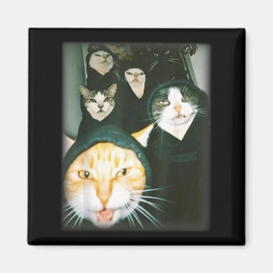 Aimant Mème de gang de chat Drôle Chats chaotiques Félin
