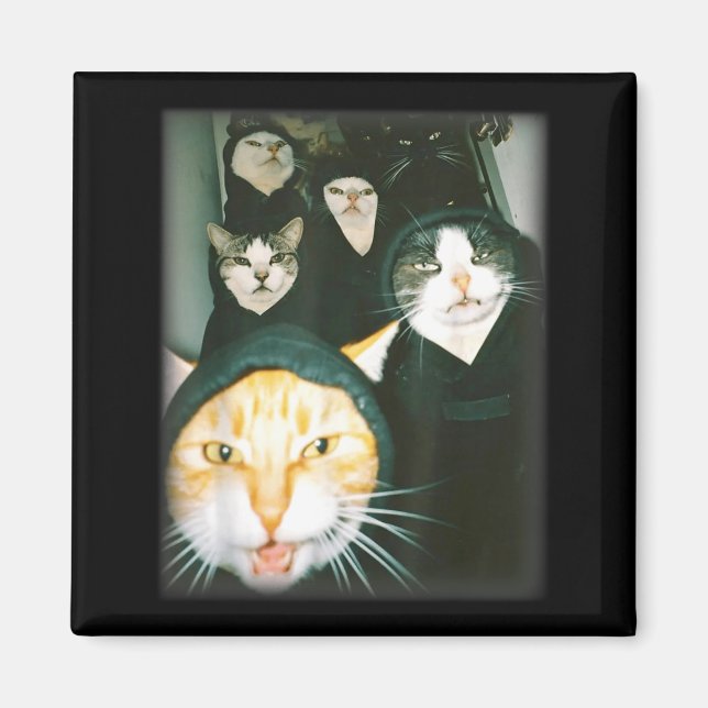 Aimant Mème de gang de chat Drôle Chats chaotiques Félin  (Devant)