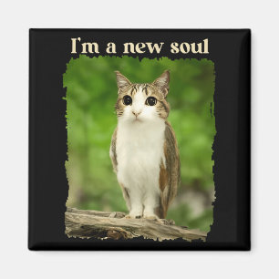 Aimant Mème drôle de Meowl, Mème de chat hibou Brainrot G