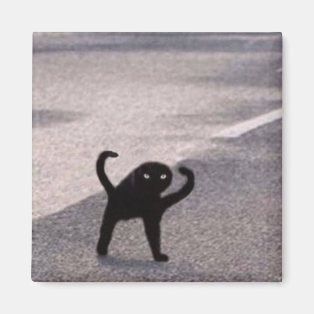 Aimant Mème du chat maudit (Devant)