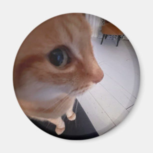 Aimant Mème du chat regard de côté
