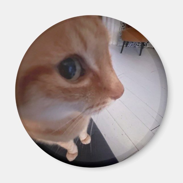 Aimant Mème du chat regard de côté (Devant)