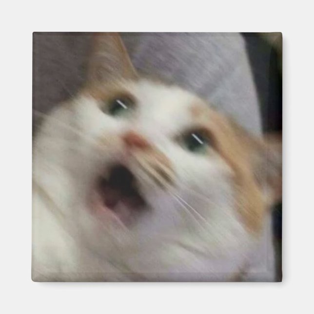 Aimant Mème du chat surpris (Devant)