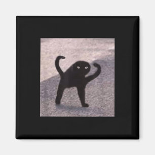 Aimant Mèmes de chats maudits Chat maudit en colère comme