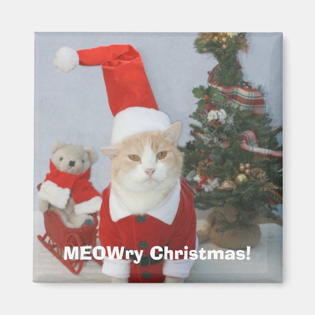 Aimant MEOWry Noël ! (Devant)