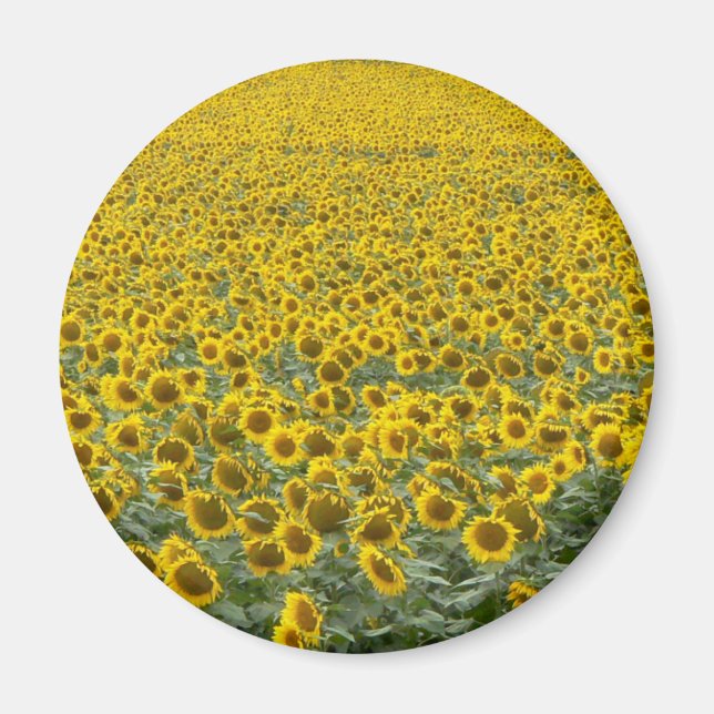 Aimant Mer des Tournesols (Devant)