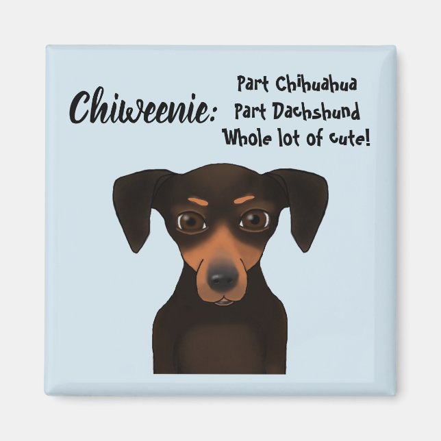 Aimant Merci à Chiweenie Chihuahua Dachshund (Devant)