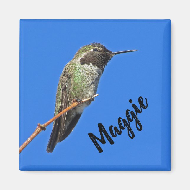 Aimant Merci Colibri Photo Nature Appréciation (Devant)