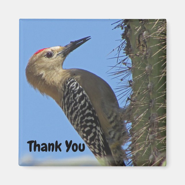 Aimant Merci Gila Woodpecker Photo Southwest Bird (Devant)