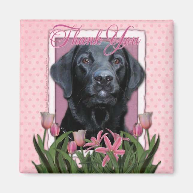 Aimant Merci - Labrador - Noir - Gaz (Devant)